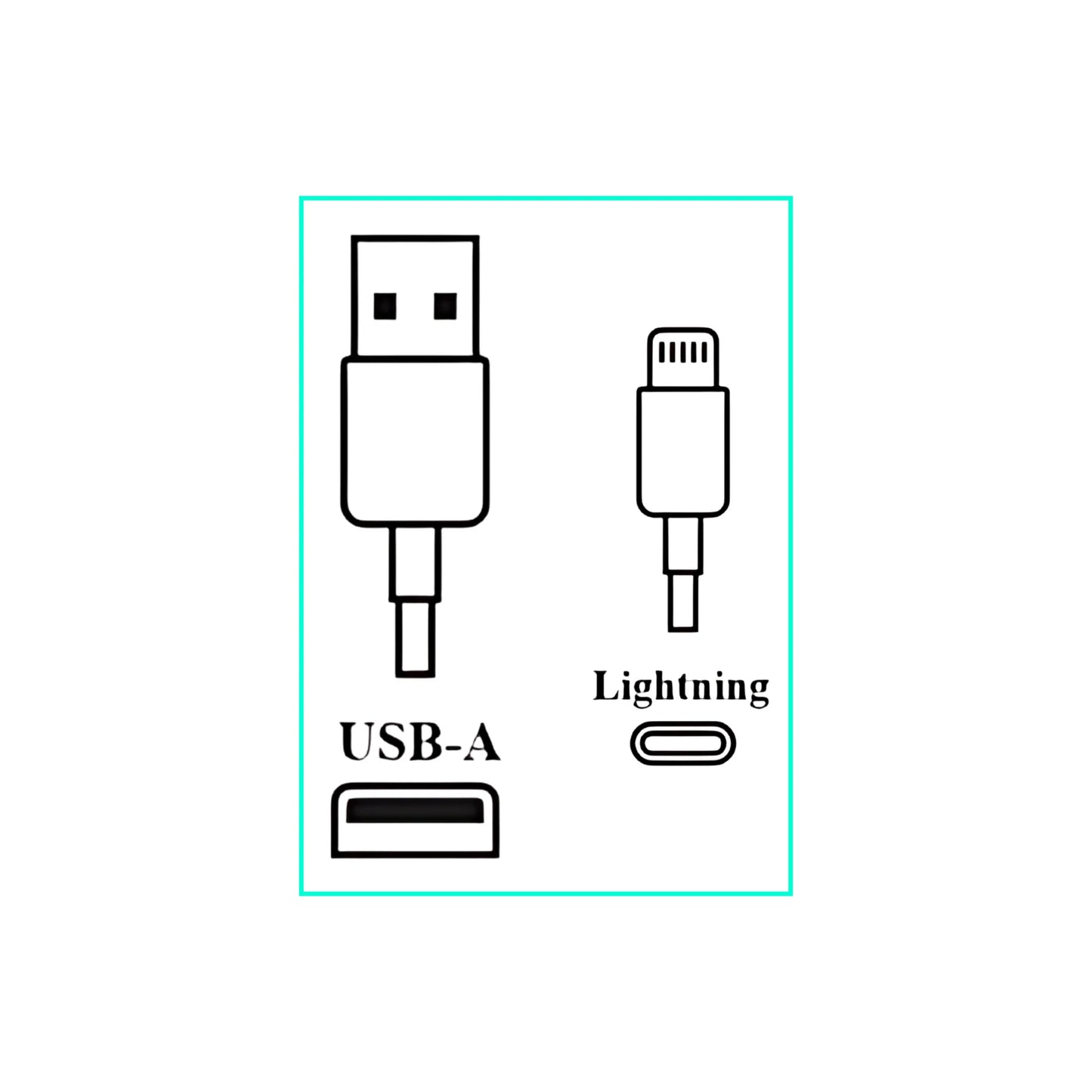 A055 Wega Cell Acc-1 pcs